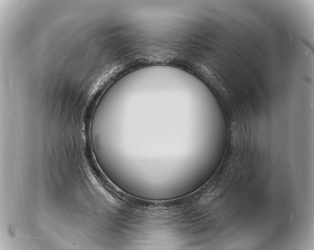 X0000103290634200808291109