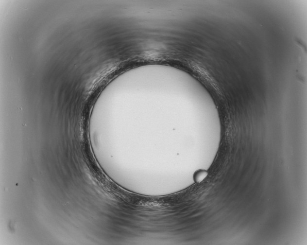 X0000103290635200808291109