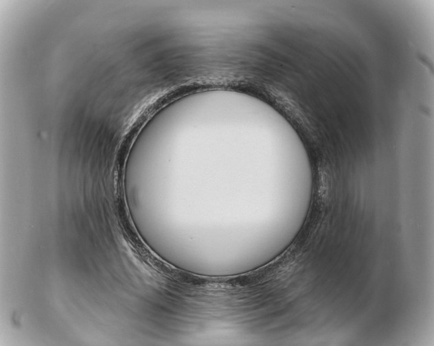 X0000103290636200808291109