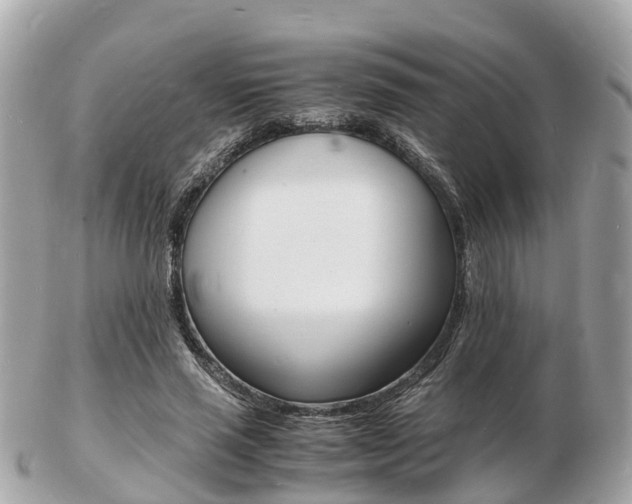 X0000103290637200808291109