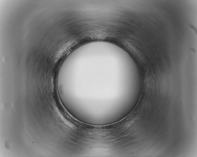 X0000103290638200808291109