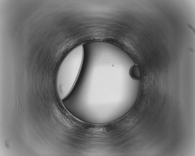 X0000103290639200808291109