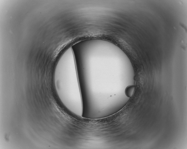 X0000103290640200808291109