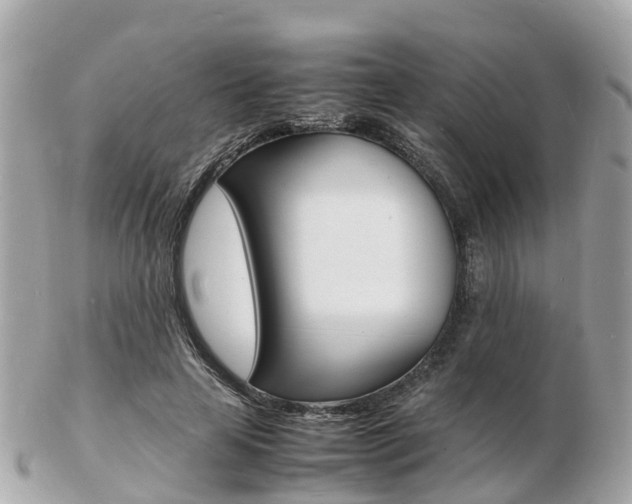 X0000103290641200808291109