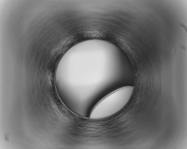 X0000103290643200808291109