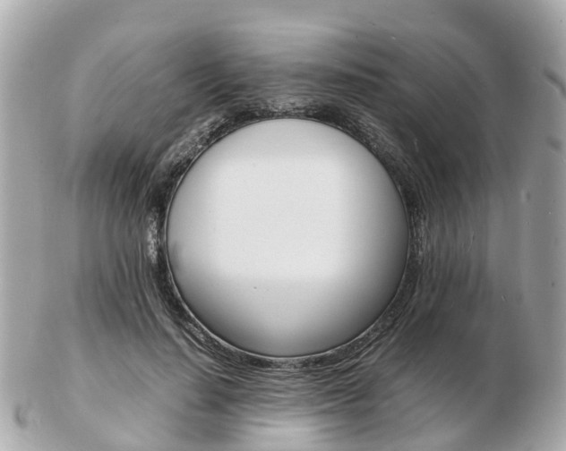 X0000103290644200808291109