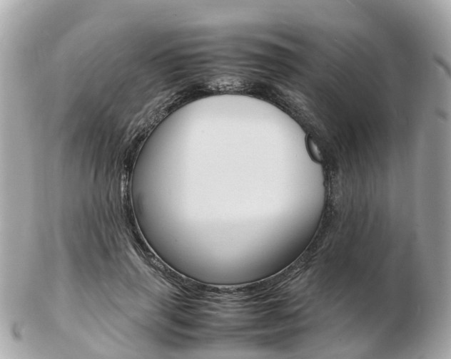 X0000103290645200808291109