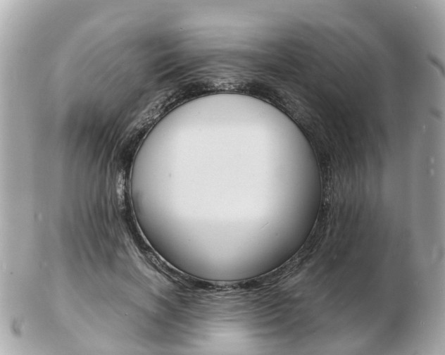 X0000103290646200808291109