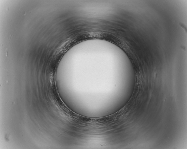 X0000103290648200808291109