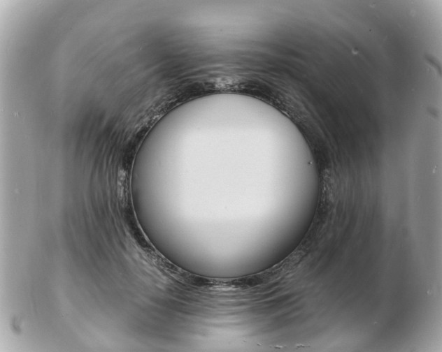 X0000103290650200808291109