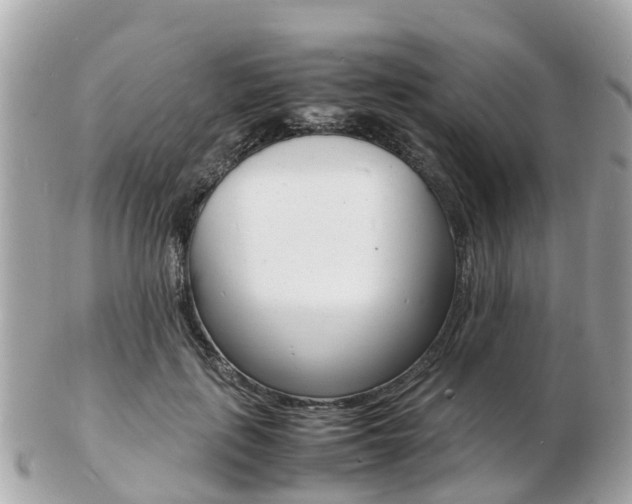 X0000103290651200808291109