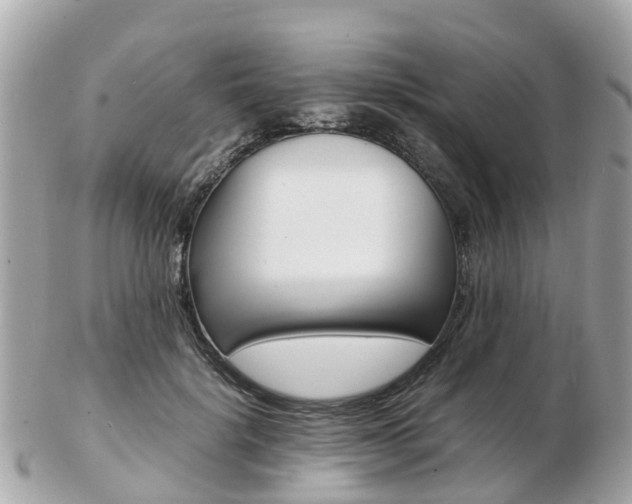 X0000103290652200808291109