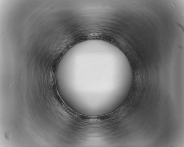 X0000103290654200808291109