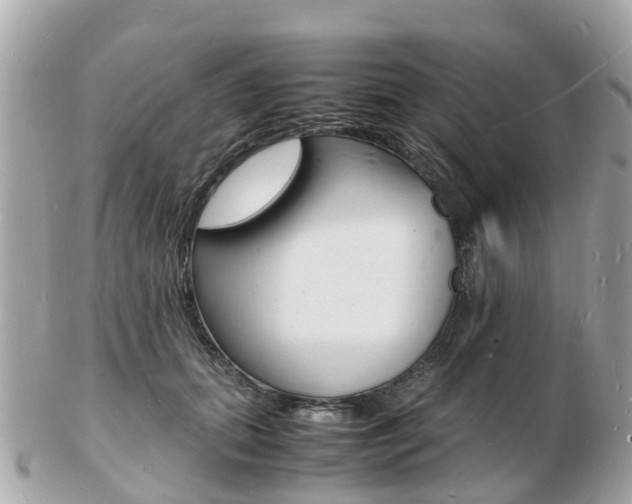 X0000103290655200808291109