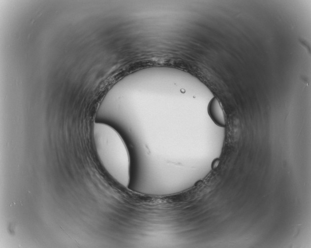 X0000103290656200808291109