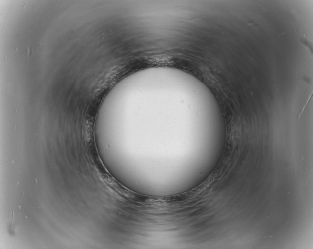 X0000103290658200808291109
