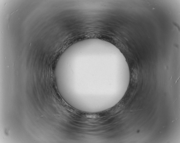 X0000103290659200808291109