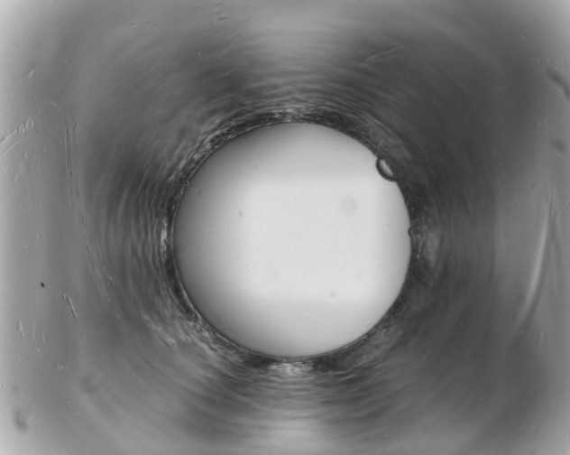 X0000103290660200808291109