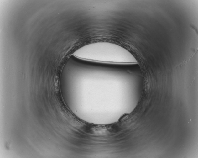 X0000103290661200808291109