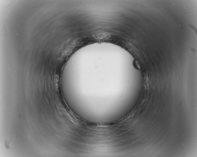 X0000103290664200808291109