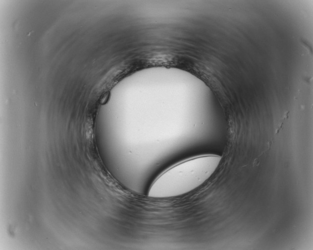 X0000103290665200808291109