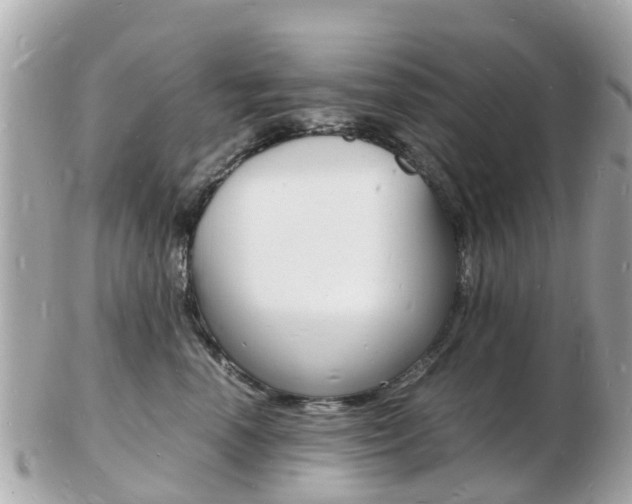X0000103290666200808291109