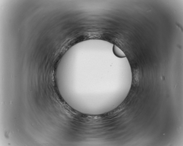 X0000103290667200808291109