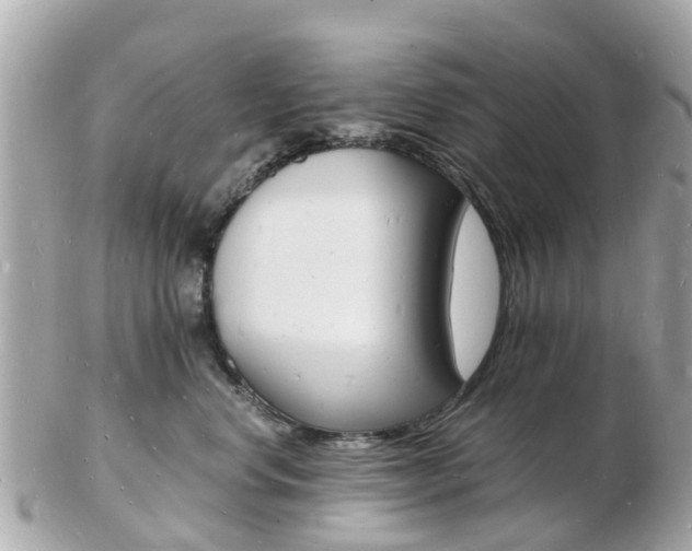 X0000103290668200808291109