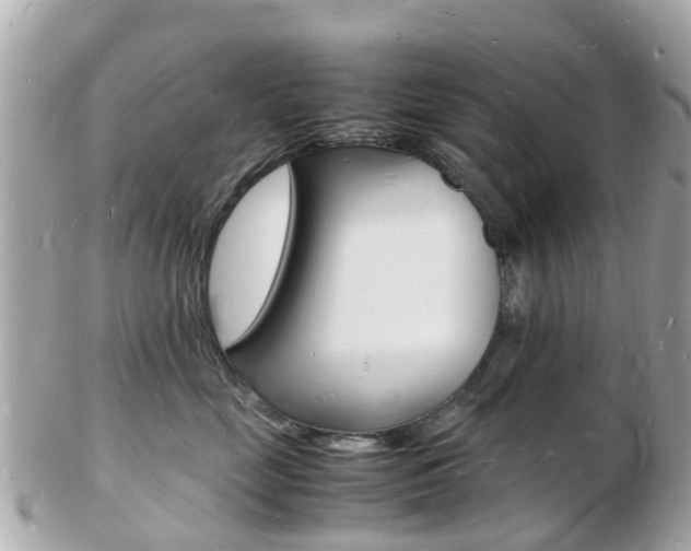 X0000103290669200808291109