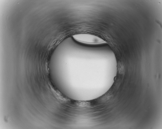 X0000103290670200808291109