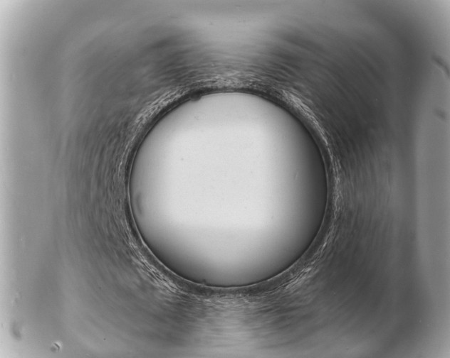 X0000103290673200808291108