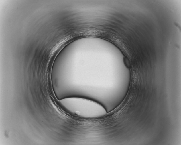 X0000103290674200808291108