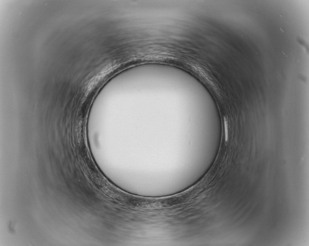 X0000103290675200808291108