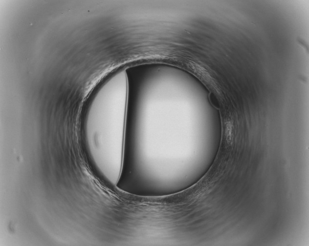 X0000103290676200808291108