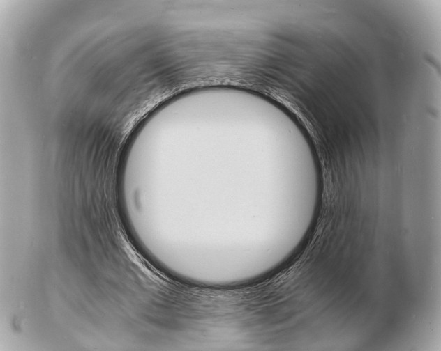 X0000103290677200808291108