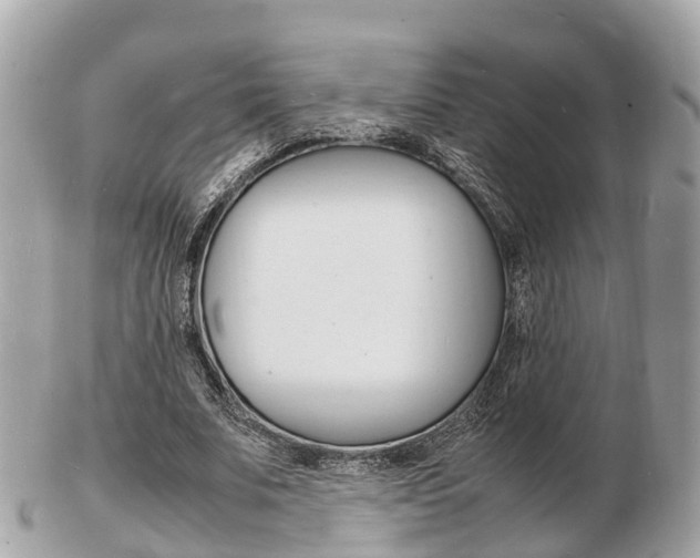 X0000103290679200808291108
