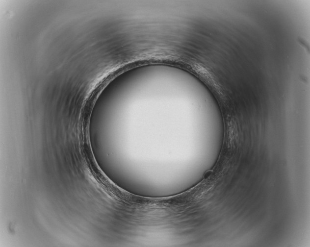 X0000103290680200808291108