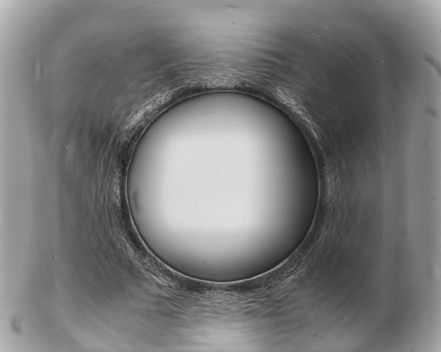 X0000103290681200808291108