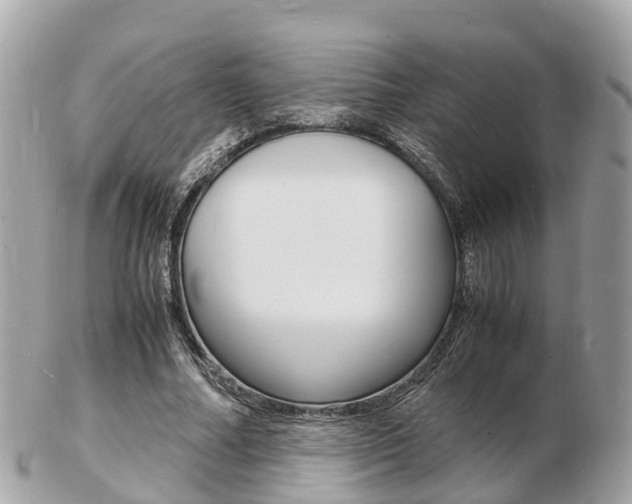 X0000103290682200808291108