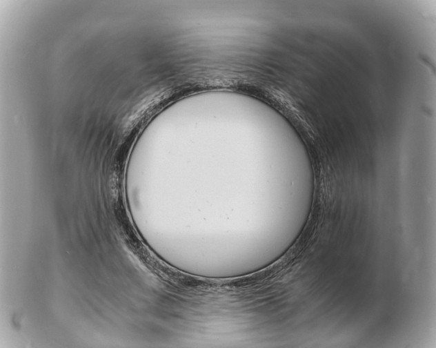 X0000103290683200808291108