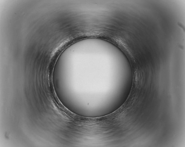 X0000103290684200808291108