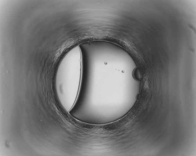 X0000103290685200808291108