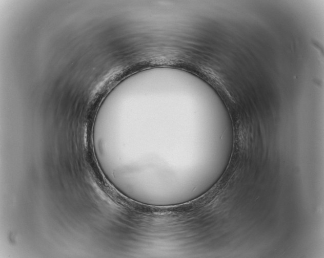 X0000103290686200808291108