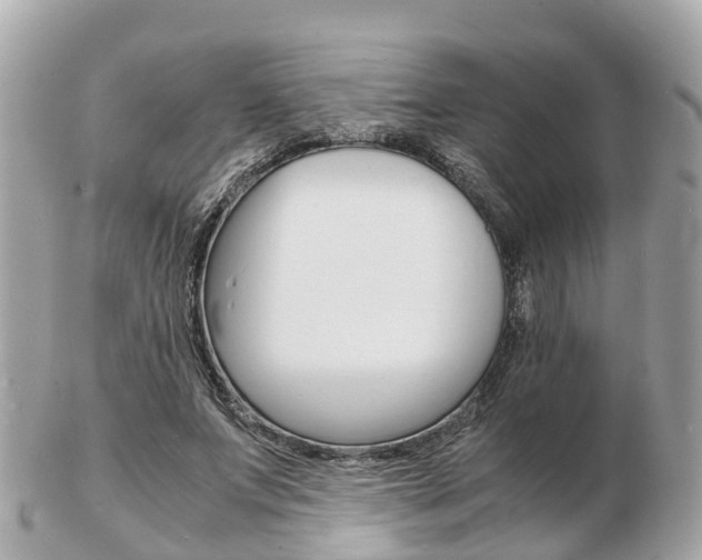 X0000103290687200808291108