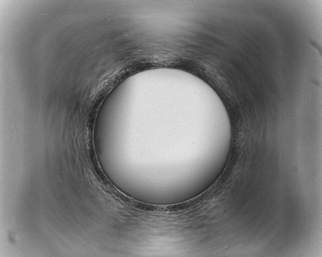 X0000103290689200808291108