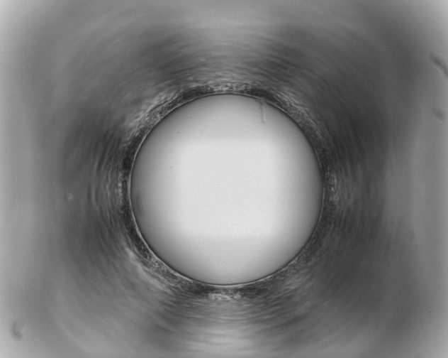 X0000103290690200808291108
