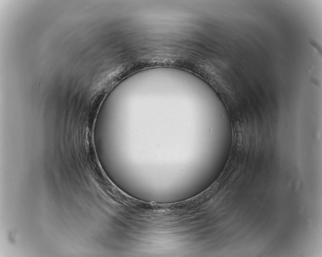 X0000103290692200808291108