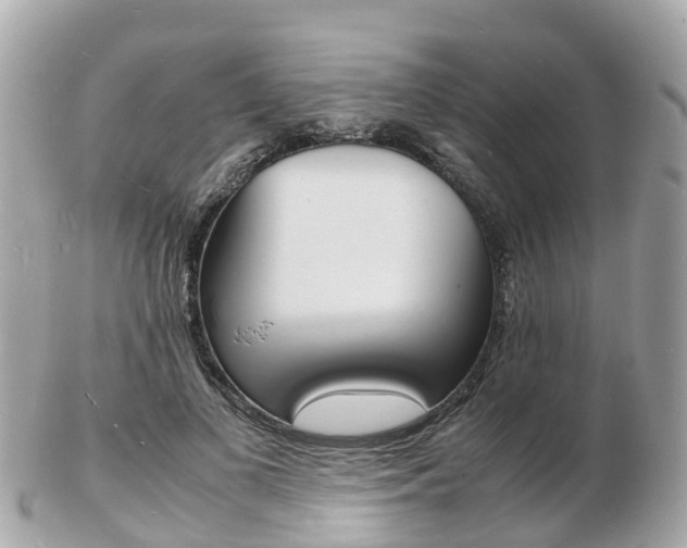X0000103290693200808291108