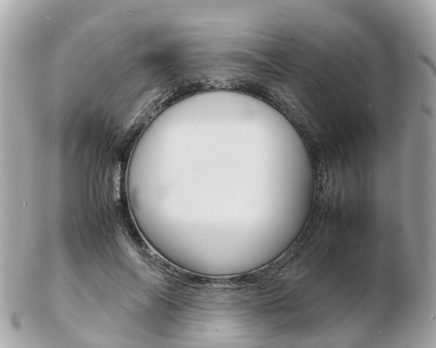 X0000103290694200808291108