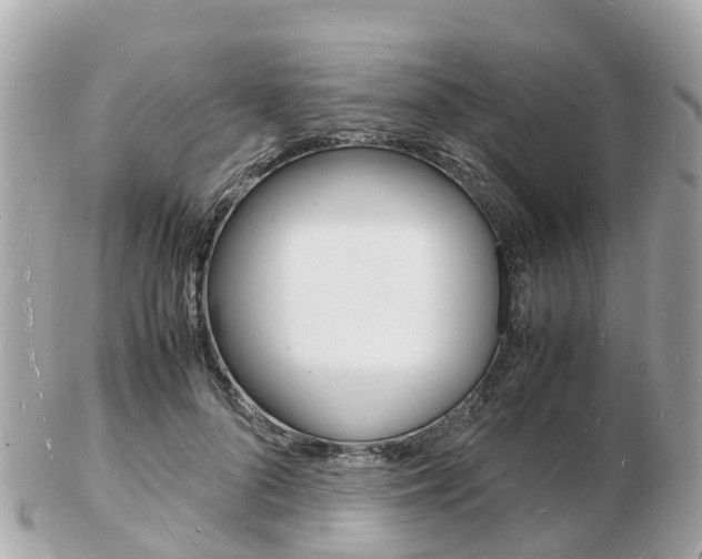 X0000103290696200808291108